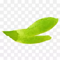 ˮ�ʻ�������.ˮ��ֲ��-������