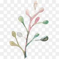 �ֻ�ˮ����֦-������