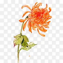 Ë®²Ê¾Õ»¨-¿ÕÈôÍø Ë®²Ê¾Õ»¨-¿ÕÈôÍø