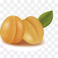 ÐÓAndroid-ÐÓ¹ûÍ¼Æ¬ËØ²ÄÔØÌå-¿ÕÈôÍø ÐÓAndroid-ÐÓ¹ûÍ¼Æ¬ËØ²ÄÔØÌå-¿ÕÈôÍø