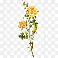 �ֻ�õ��-������