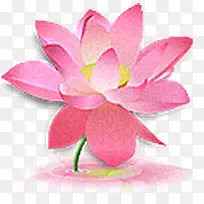 ����-������