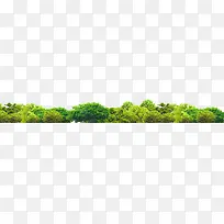 创意摄影绿色的大树森林-空若网 创意摄影绿色的大树森林-空若网