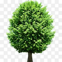 ������Ӱ�������Ч��-������