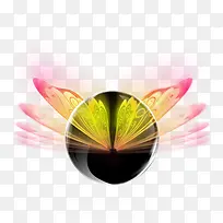 水晶翅膀-空若网 水晶翅膀-空若网