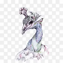 矢量孔雀-空若网 矢量孔雀-空若网