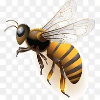 ÃÛ·äËØ²Ä-¿ÕÈôÍø ÃÛ·äËØ²Ä-¿ÕÈôÍø