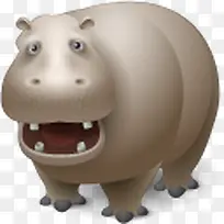 河马动物河马动物-空若网 河马动物河马动物-空若网