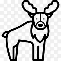Moose 图标-空若网 Moose 图标-空若网