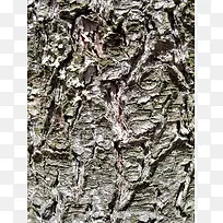 ���ϵ���Ƥ����-������