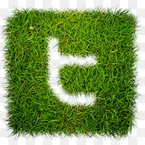 ���ز�Grass-web20-icons-������