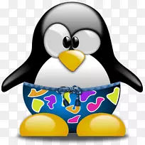 ���linux tux����ϵͳ����������Ӿ-������