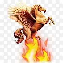 马-空若网 马-空若网