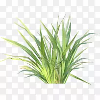 剪贴画-空若网 剪贴画-空若网