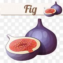 矢量卡通无花果-空若网 矢量卡通无花果-空若网