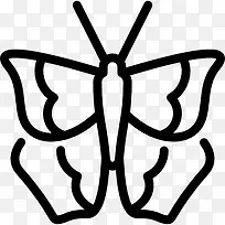 巡洋舰的蝴蝶图标-空若网 巡洋舰的蝴蝶图标-空若网