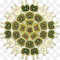 ����ϸ����д�廭-������