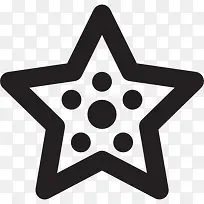 Summer Starfish 图标-空若网 Summer Starfish 图标-空若网