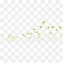 心形植物-空若网 心形植物-空若网