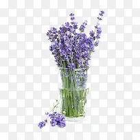 ���Ի���-������