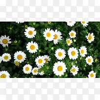 阿斯顿犯法-空若网 阿斯顿犯法-空若网