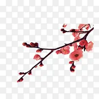 一枝红杏-空若网 一枝红杏-空若网