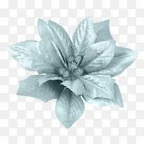 冬草-空若网 冬草-空若网