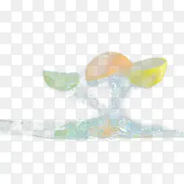 �ɽ�ˮ��-������