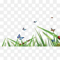 С��-������