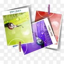 实物彩色蜗牛照片-空若网 实物彩色蜗牛照片-空若网