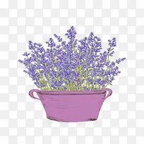 ��ͨ޹�²�����ز�-������