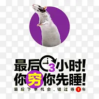 双十二促销-空若网 双十二促销-空若网