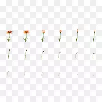 草本植物茎线型动力植物-空若网 草本植物茎线型动力植物-空若网