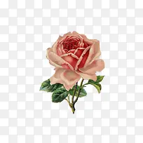 õ�廨�ͻ�-������