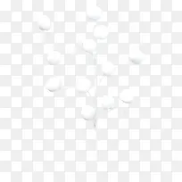 ��֦��ɫѩ��-������