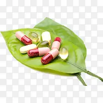 生物科学-空若网 生物科学-空若网