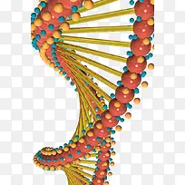 ���Ǻ���-������