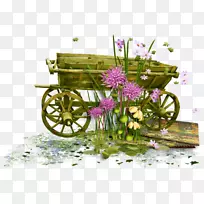 绘画花园摄影博客-空若网 绘画花园摄影博客-空若网