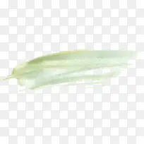 ��ɫˮ��ī��-������