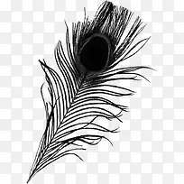 �ֻ��ɫ��ȸ��ë-������