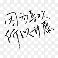 ��д��������-������