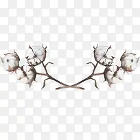 手绘棉花插画-空若网 手绘棉花插画-空若网