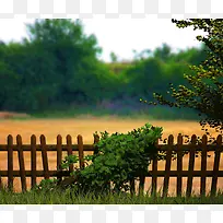 栅栏风景摄影-空若网 栅栏风景摄影-空若网
