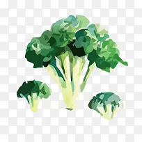 矢量手绘西兰花蔬菜素材-空若网 矢量手绘西兰花蔬菜素材-空若网