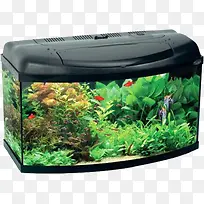 玻璃鱼缸-空若网 玻璃鱼缸-空若网