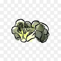 花椰菜-空若网 花椰菜-空若网