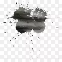 ˮ�ʻ��ڰ׻�-��ɫ�罦-������