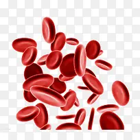 红血球-空若网 红血球-空若网