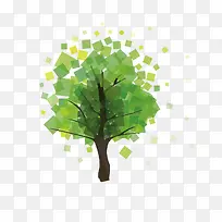 ��ɫ������-������