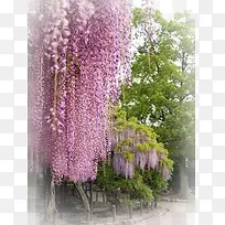 װ�λ���ͼ��-������